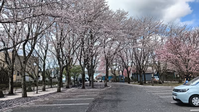 Sakura Hot Spring — photo 09