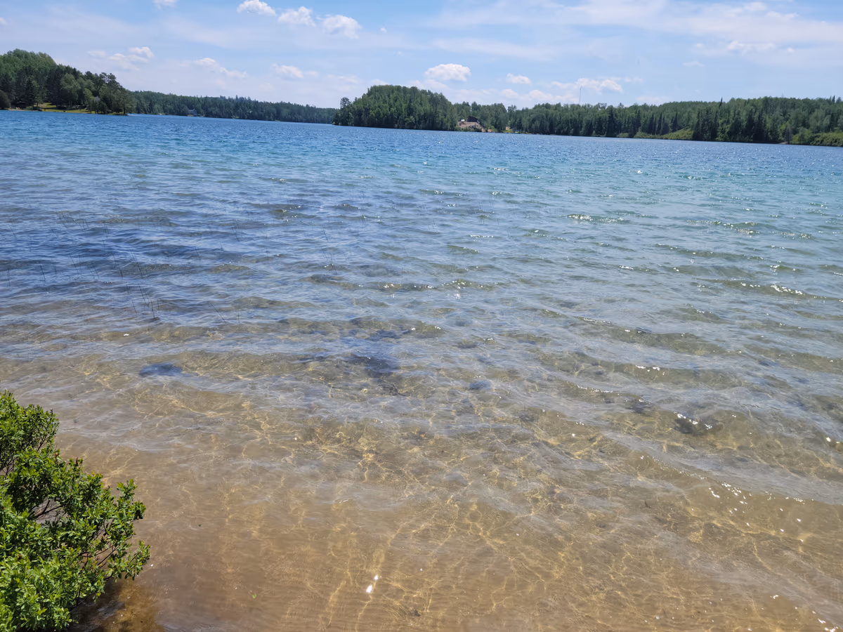 Bass Lake Resort