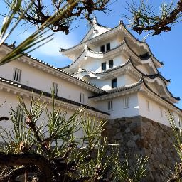 Kamigata Hot Spring Ikkyu — photo 10
