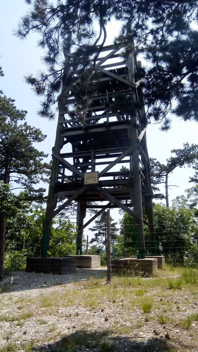 Kitaibel Pál Viewing Tower — photo 13