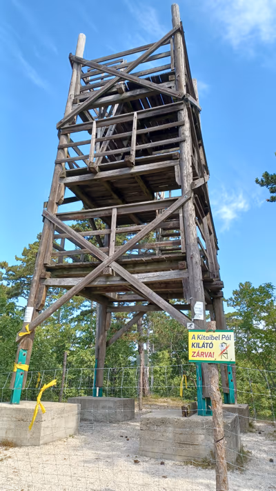 Kitaibel Pál Viewing Tower — photo 18