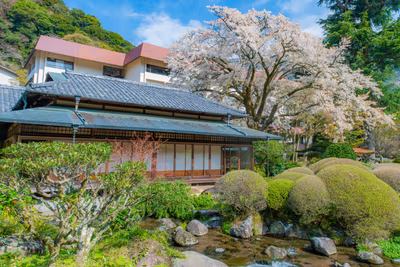 Hakone Suimeisou — photo 12