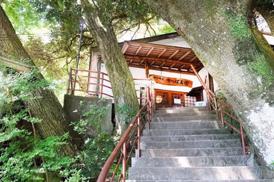 Hakone Suimeisou — photo 13