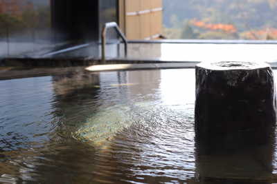 Super Public Bath Furoya — photo 09