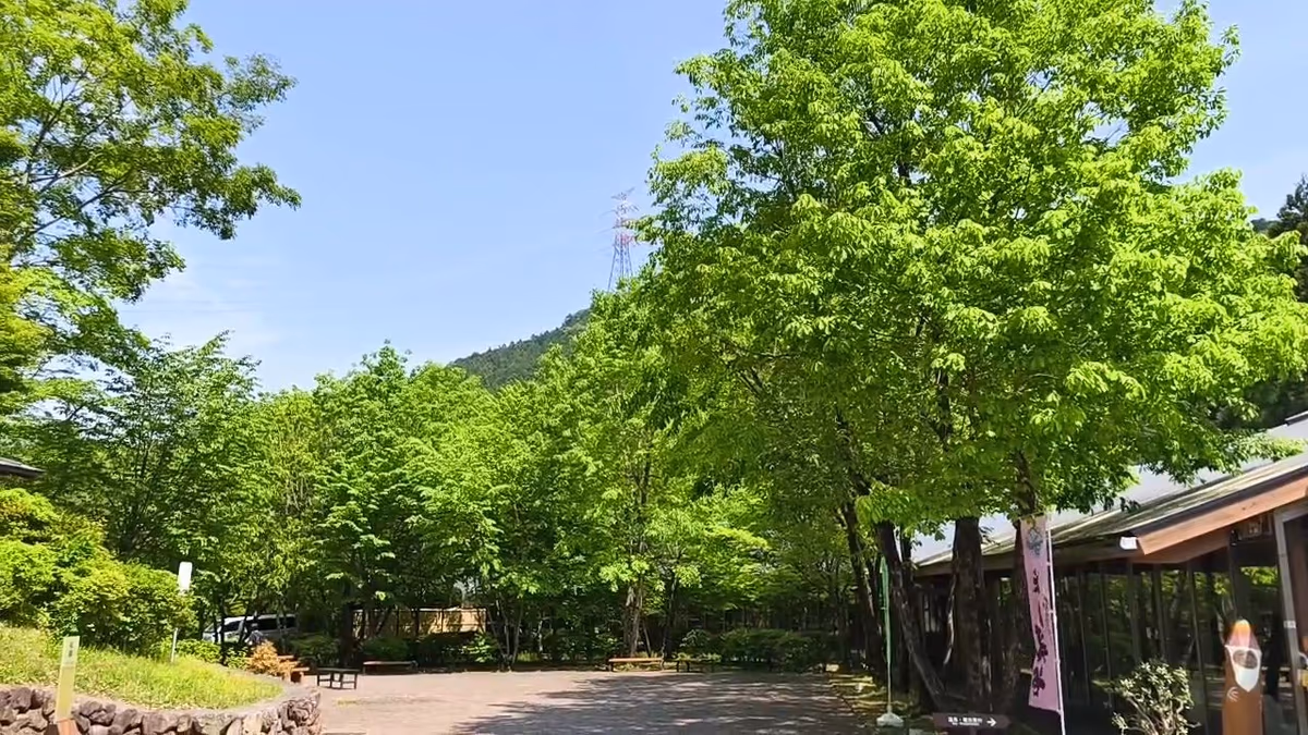 Seoto