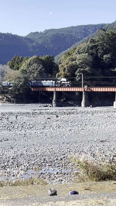 Oigawatetsudo Kawaneonsen Hoteru — photo 04