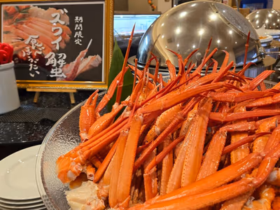 Oigawatetsudo Kawaneonsen Hoteru — photo 08