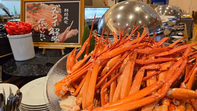 Oigawatetsudo Kawaneonsen Hoteru — photo 22