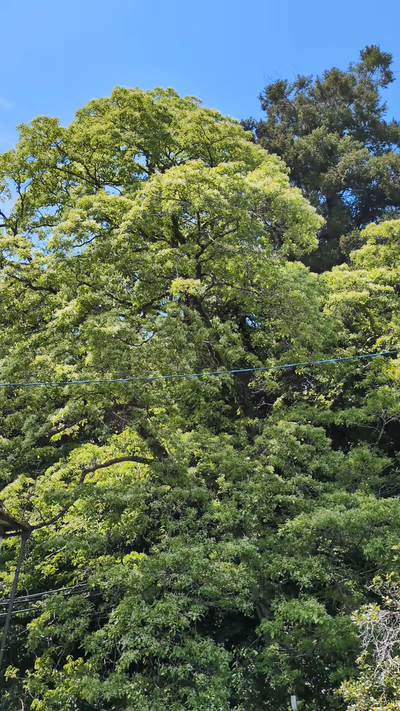 白狐温泉 神明水 — photo 02