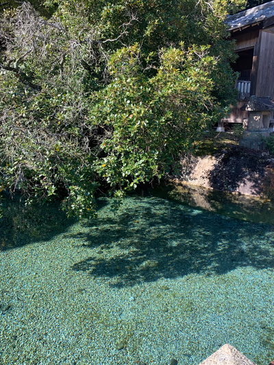 白狐温泉 神明水 — photo 12