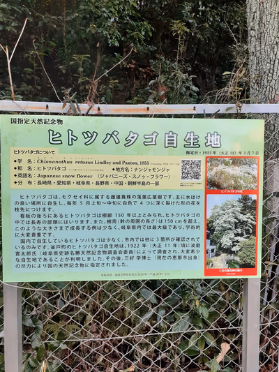 白狐温泉 神明水 — photo 18