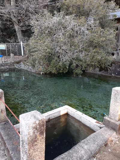 白狐温泉 神明水 — photo 19