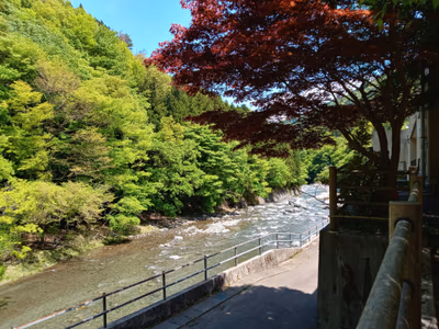 道志川温泉 紅椿の湯 — photo 22