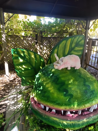 Daniel A. Séguin Garden — photo 13