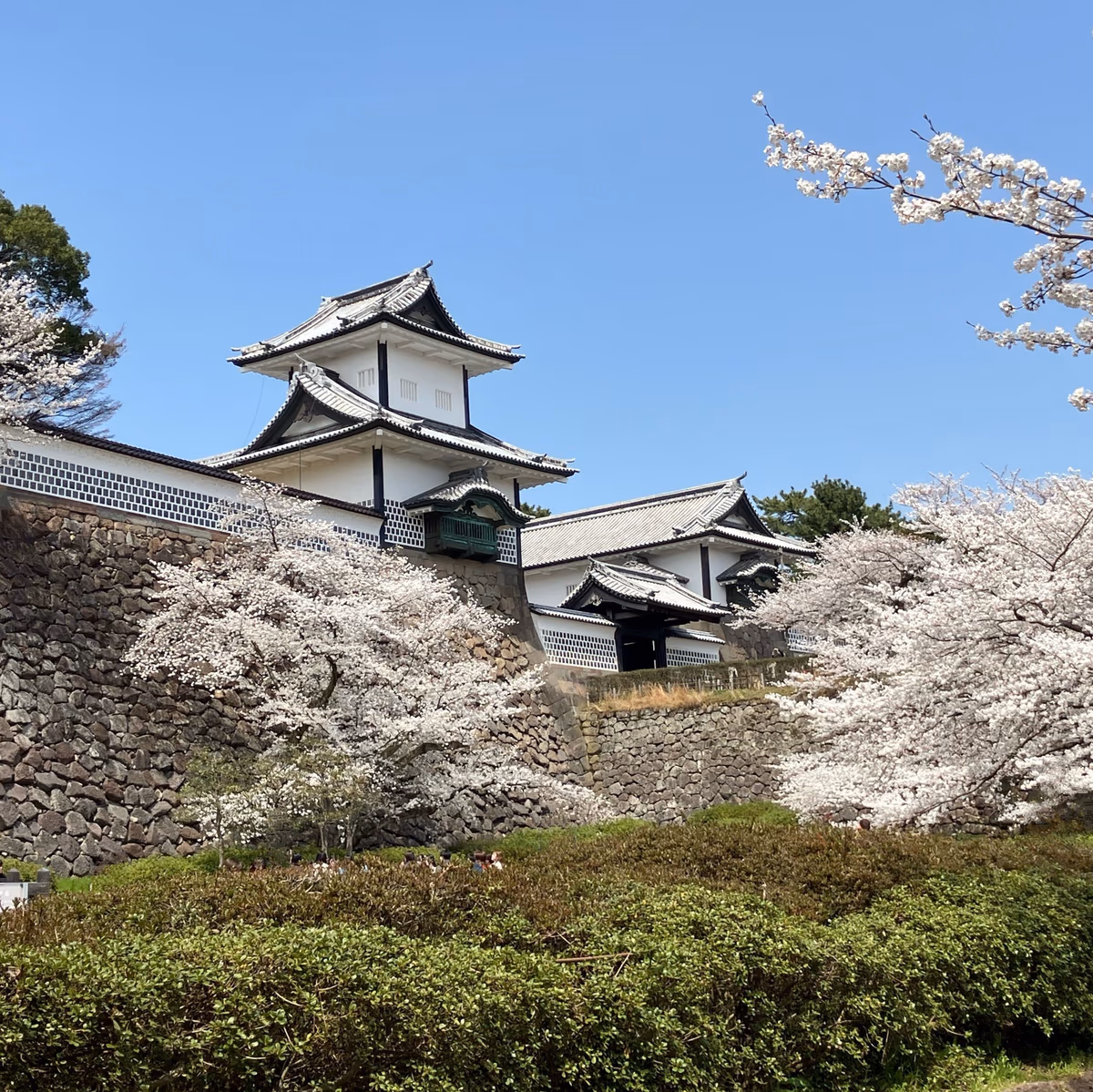 Renge Hot Springs Lodge