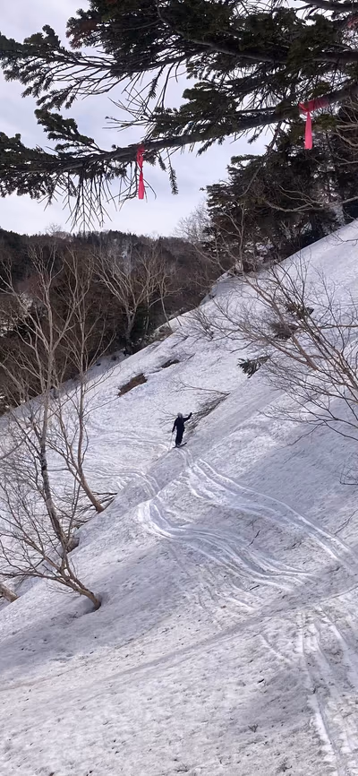 Renge Hot Springs Lodge — photo 13