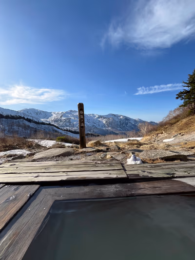 Renge Hot Springs Lodge — photo 14