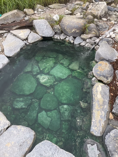Renge Hot Springs Lodge — photo 18