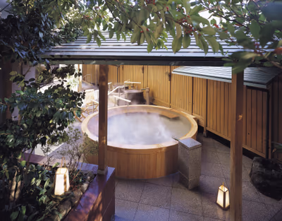 Hatori — photo 12