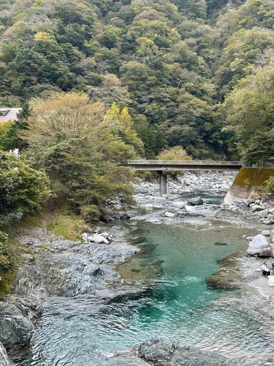 Nakagawa Onsen Buna Hot Spring — photo 15