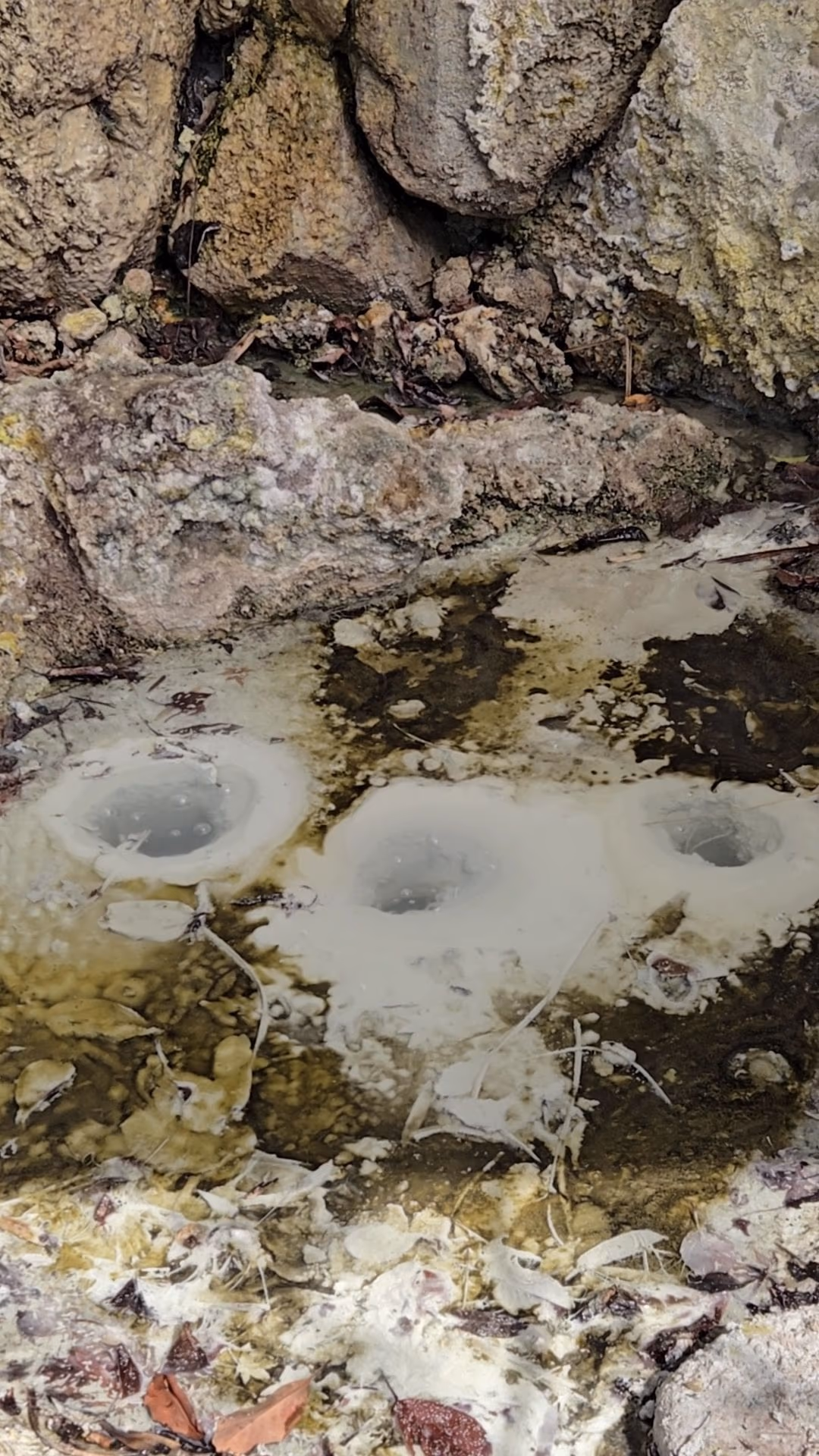 Myoban Onsen Yunosato Open