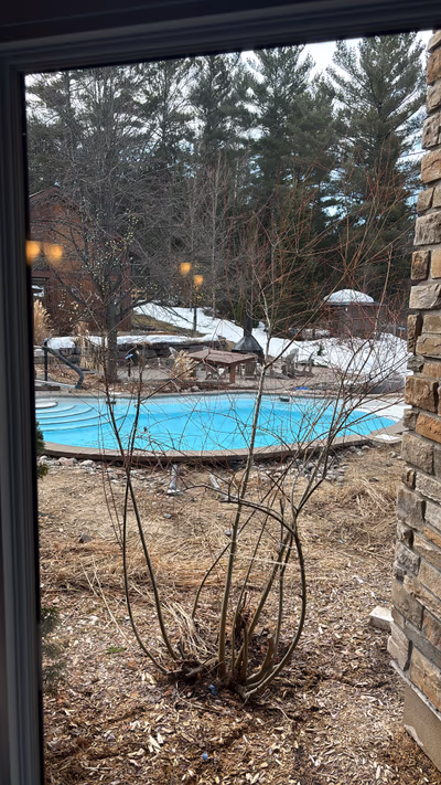 Amerispa — photo 14