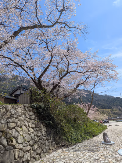 Te yu Ashiyu Hand and Foot bath — photo 19