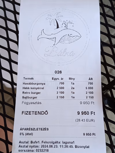 Csorna, termálfürdő — photo 16