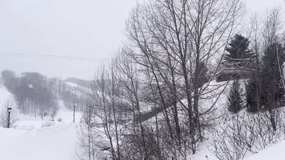 Horseshoe Adventure Park — photo 13