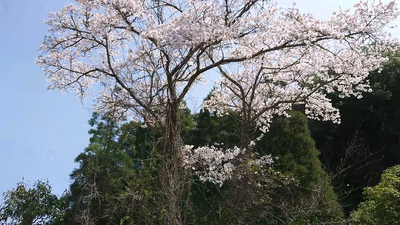 守実温泉 やすらぎの郷 やまくに — photo 06