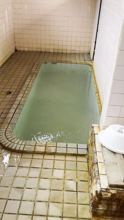熱塩温泉 下の湯 共同浴場 — photo 03