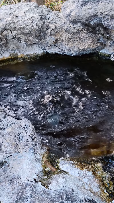 Shichirida Onsen Konoha — photo 17