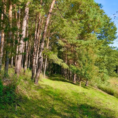 Bakony Deep Forest Vendégház