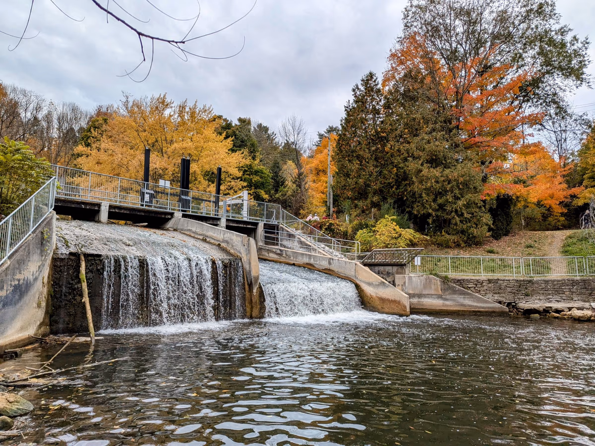 Mill Dam