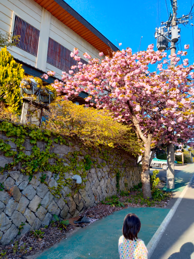 Moritake Hot Spring — photo 12