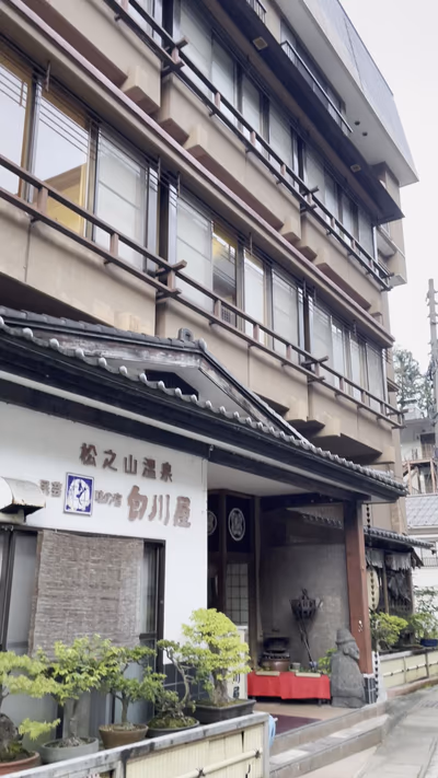 松之山温泉 白川屋 — photo 05