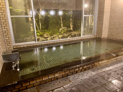 Yumotoso Toyokan Ryokan — photo 09