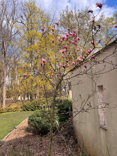 Főnix Kastélyszanatórium és Egészséghotel — photo 22