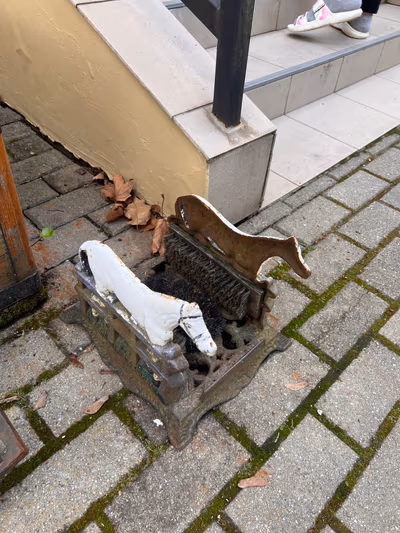 Főnix Kastélyszanatórium és Egészséghotel — photo 23