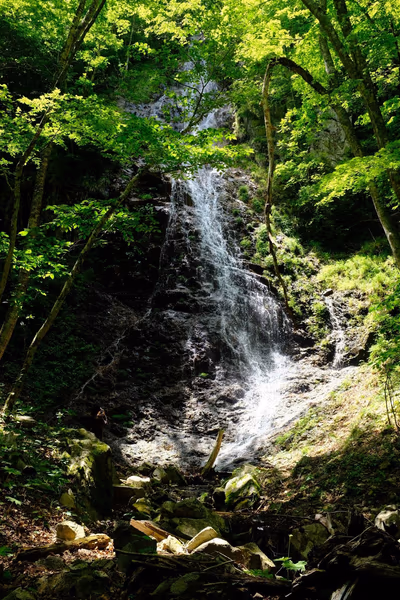 Hikariyama Hot Spring — photo 06