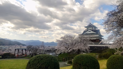 Kaminoyama Castle Ruins — photo 18