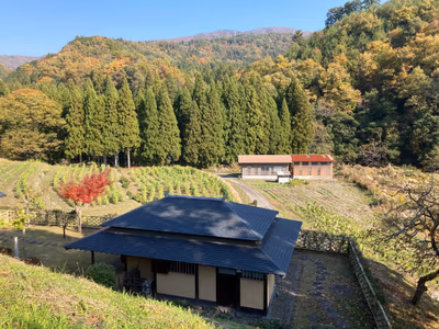 Kokouan — photo 07