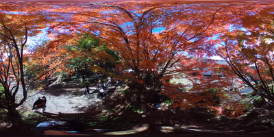Kokouan — photo 11