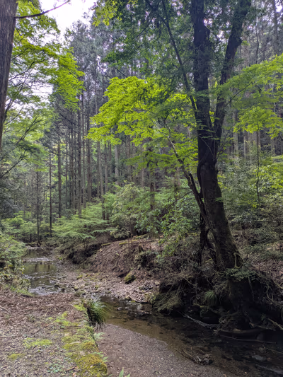 Atera Seven Falls — photo 14