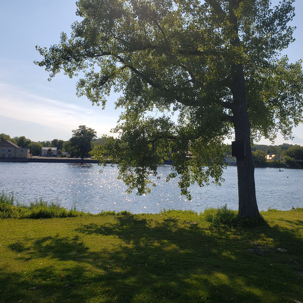 Frankford Tourist Park