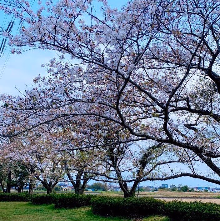 天然温泉 湯舞音 市原ちはら台店