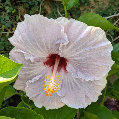湯田山荘 — photo 02