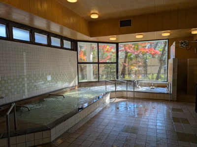 湯田山荘 — photo 13