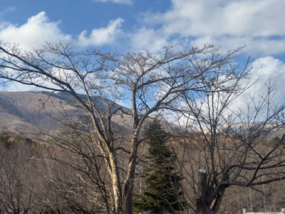 しゃくなげの湯っこ五葉温泉 — photo 15