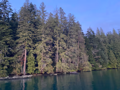 Hot Voyage Floating Sauna Inc. — photo 20